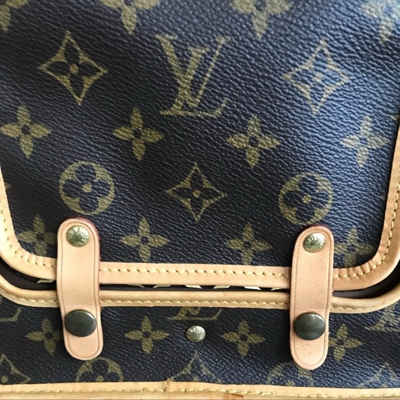 Louis Vuitton Sac Chien 50 Pet Carrier (Discontinued) - Picture 14 of 17